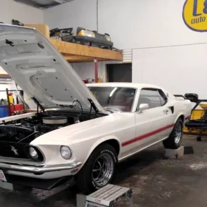 Mustang