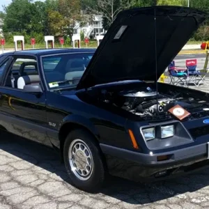Mustang